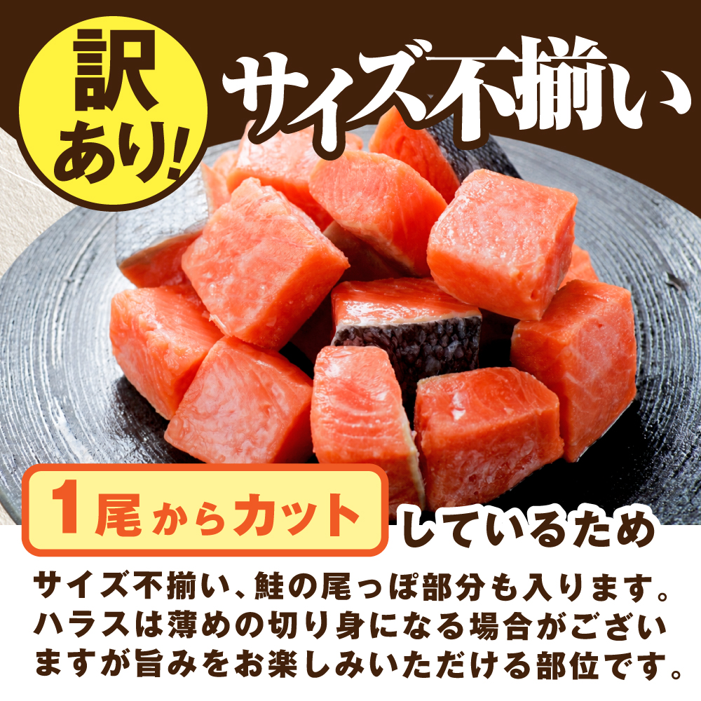 骨取り済カットチリ産銀鮭 1kg