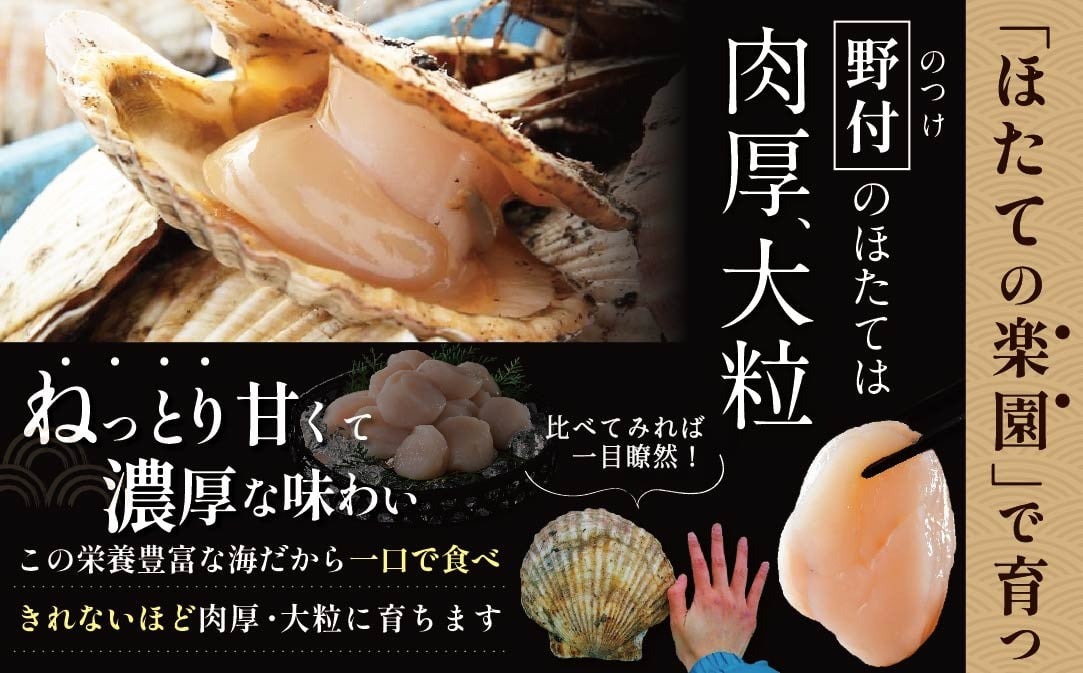 北海道野付産 特大ほたて 500ｇ 個包装（8〜10⽟前後）（LLサイズ）【KN0000026】