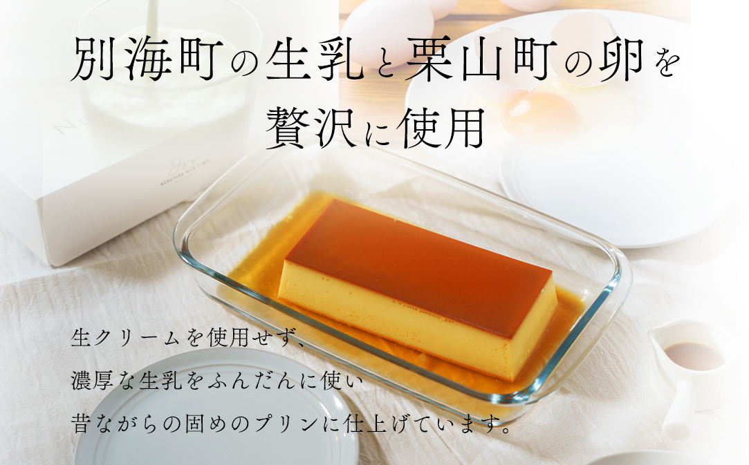 【定期便】濃厚プリン　New Pudding（ニュープディング）（500g×1本）×10ヶ月【be152-0931-100-10】