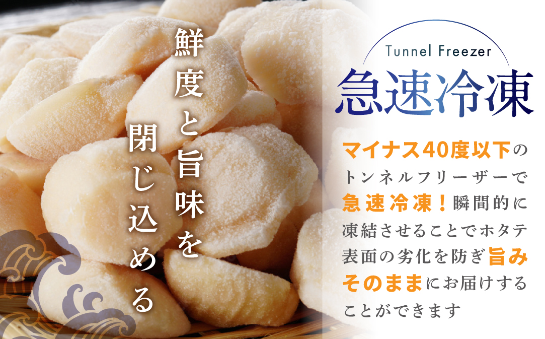 【訳あり】北海道 ホタテ 500g  (  ほたて ホタテ ホタテ貝柱 帆立貝 帆立貝柱 北海道 別海町 ふるさと納税 ）																								