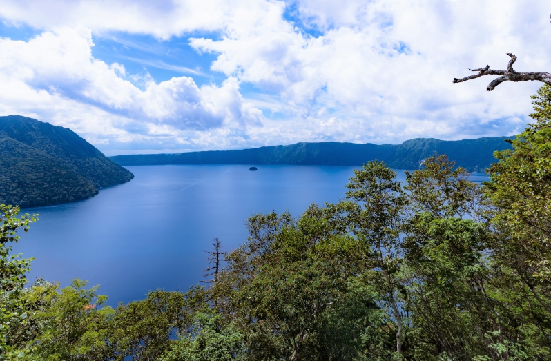 べつかいの牛乳屋さん1L　6本入【高島屋選定品】（TK0000054）