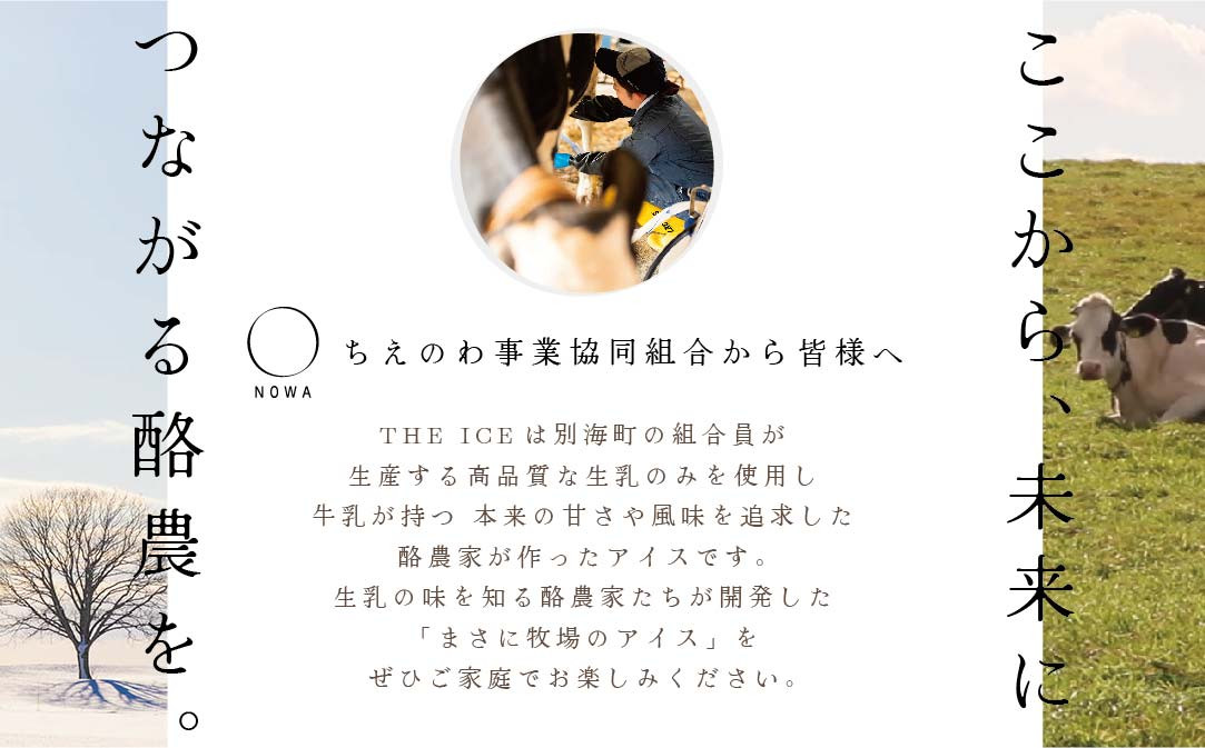 【毎月定期便】【THE ICE】3種詰合せ6個セット×7ヵ月定期便 【be003-1072-100-7】