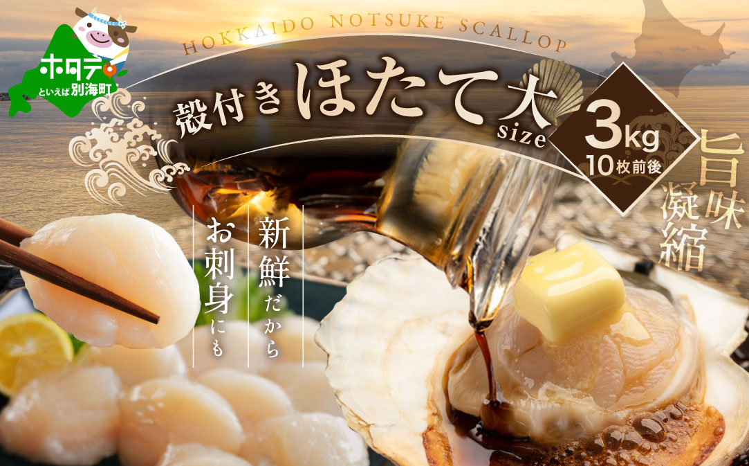 北海道野付産活ホタテ 3kg（10枚前後）【KO0000001】