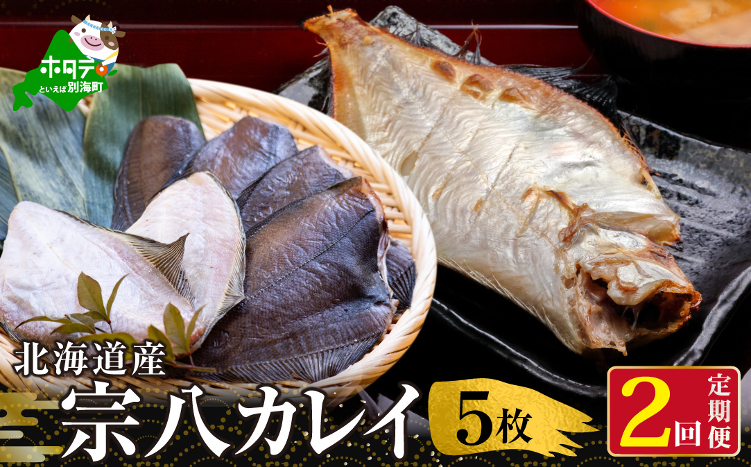 【定期便】北海道 産 一夜干し 宗八 カレイ 5枚 × 2ヵ月 【全 2回 】