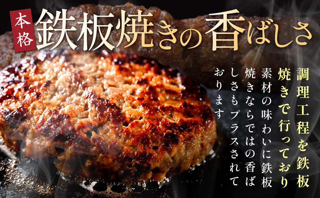 北海道 別海町産 別海牛入り合挽ハンバーグ（80g×12個）×2箱【NB002JB00】