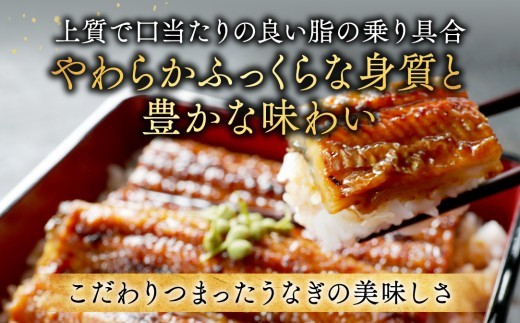 （6月発送）国産　特上うなぎ 2尾 合計 260g 以上【OT000O130】