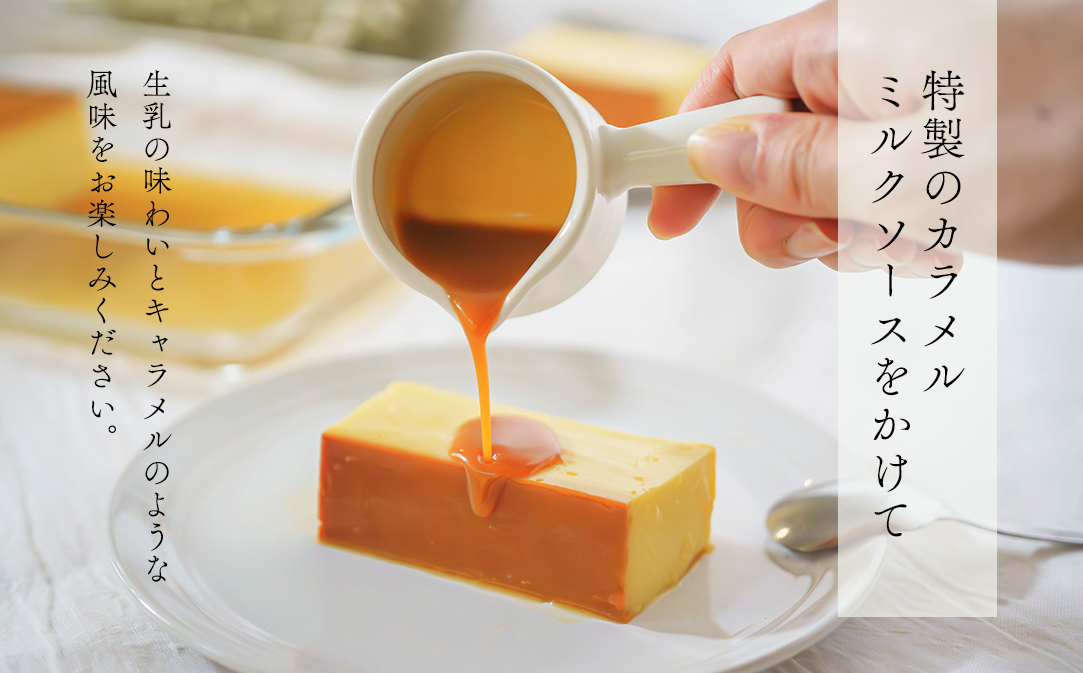 【定期便】濃厚プリン　New Pudding（ニュープディング）（500g×1本）×4ヶ月【be152-0931-100-4】