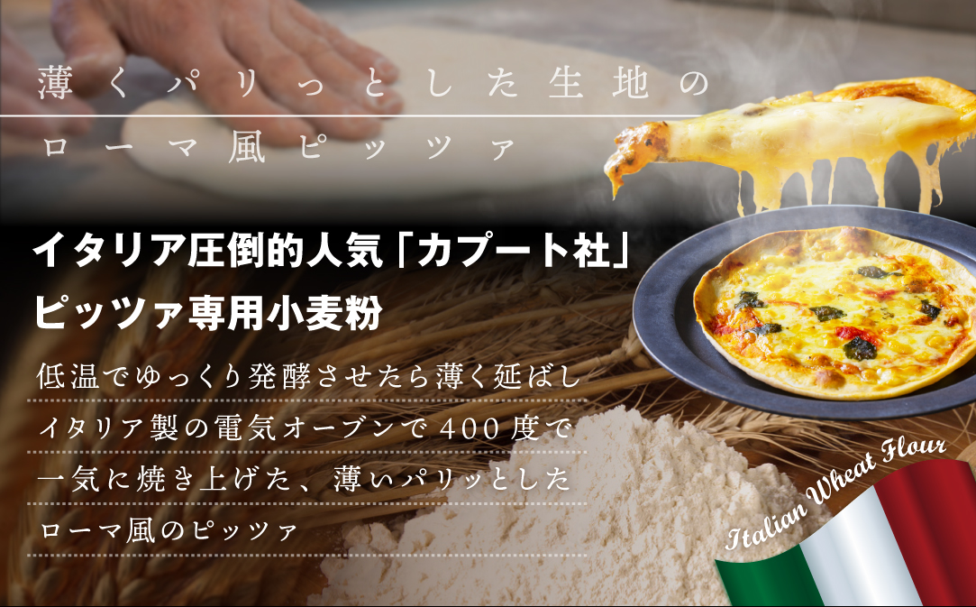 【定期便】北海道別海町チーズを使ったピザ ６枚セット×６ヵ月【be059-0690-100-6】