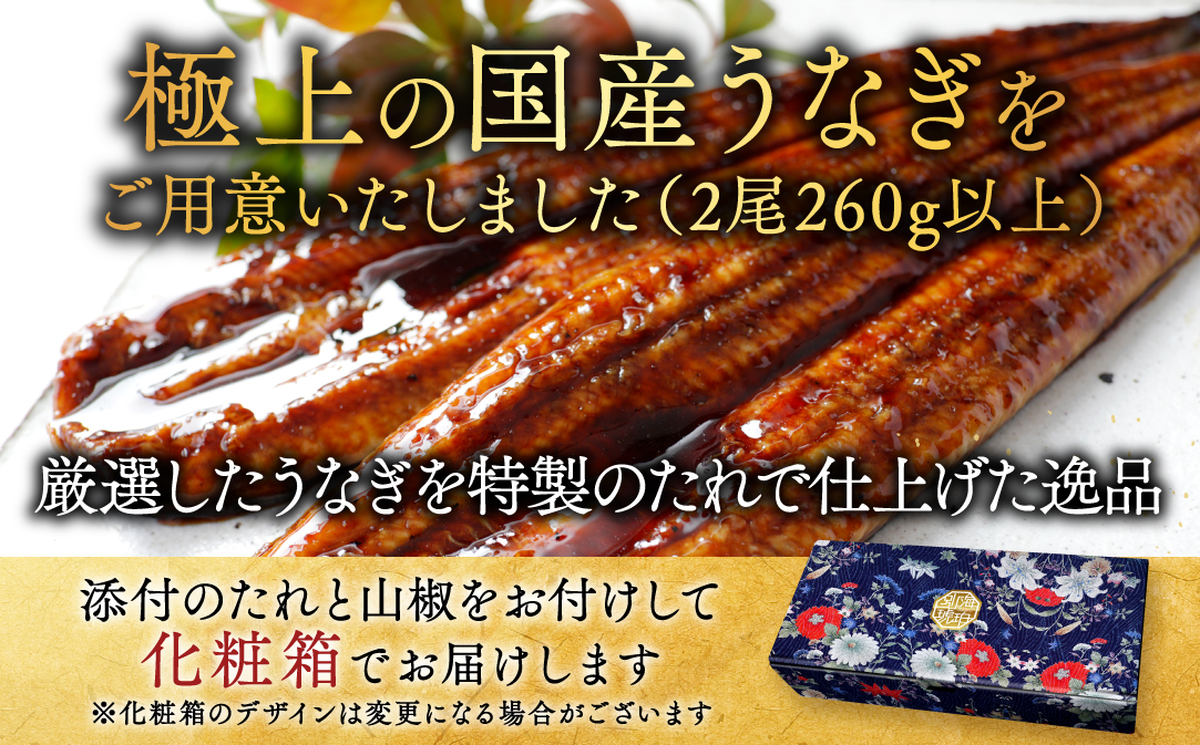 （6月発送）国産　特上うなぎ 2尾 合計 260g 以上【OT000O130】
