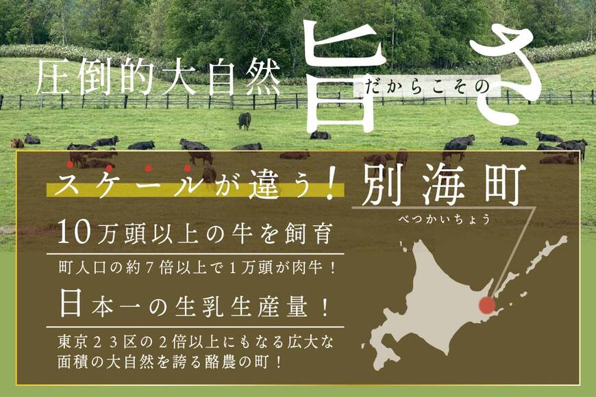 【定期便】黒毛和牛「別海和牛」サイコロステーキ 用 500g × 12ヵ月 【全12回】