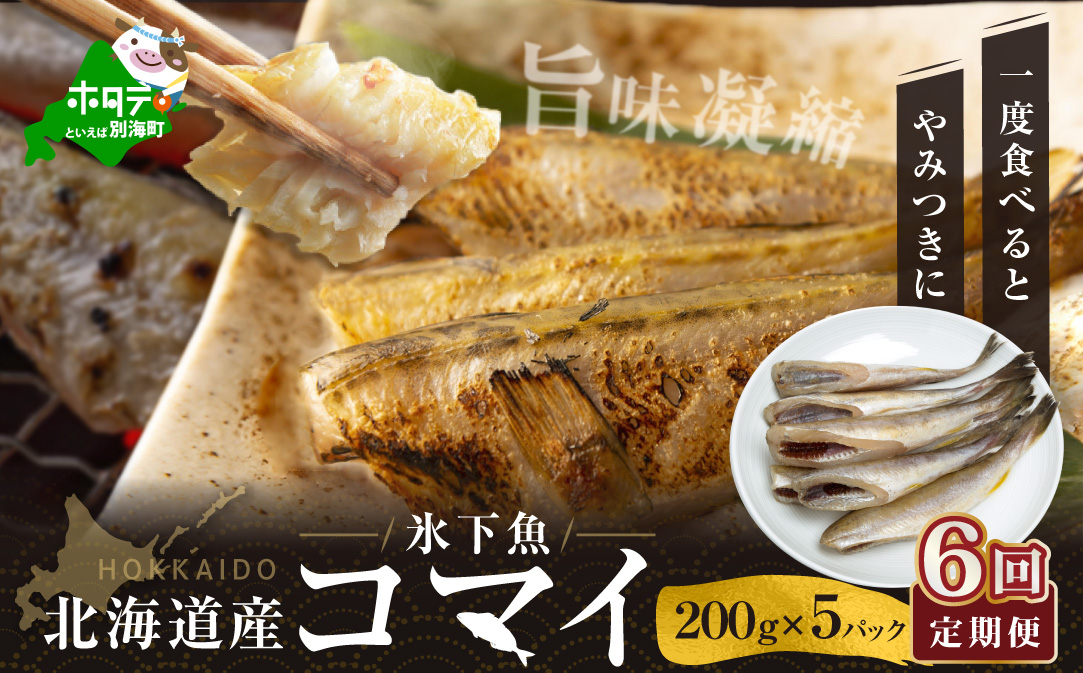 【定期便】北海道 産 干し こまい 1ｋｇ[ 200g × 5パック ]× 6ヵ月 【全 6回 】