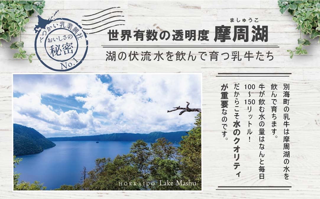 〈べつかい乳業興社〉 プレミアムミルクリッチ12個【高島屋選定品】【TK0000056】