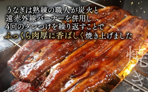 （6月発送）国産　特上うなぎ 2尾 合計 260g 以上【OT000O130】