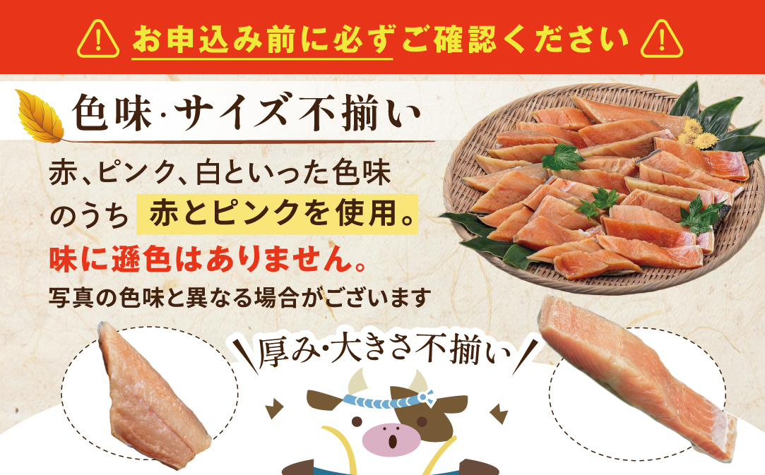【訳あり】秋鮭ドンっ！無塩 秋鮭 切り身 1.5kg 【KN000PB06】