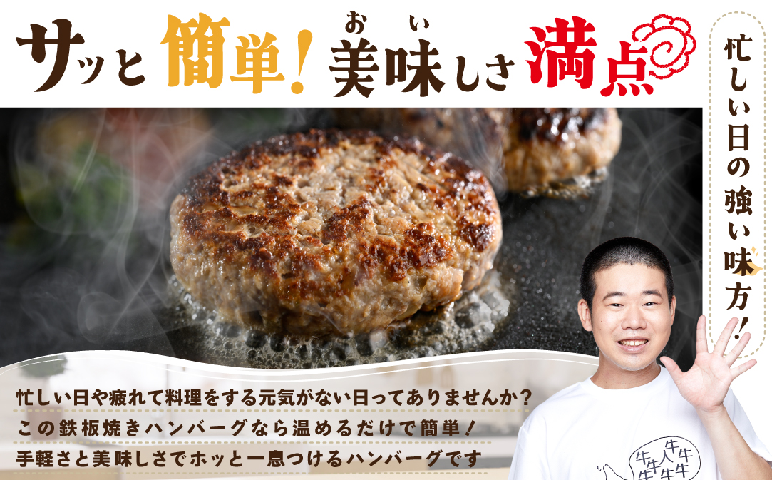 北海道 別海町産 別海牛入り合挽ハンバーグ（80g×12個）×2箱【NB002JB00】