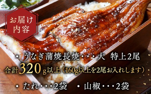 （6月発送）国産　大　特上うなぎ 2尾 合計320g以上【OT000O160】