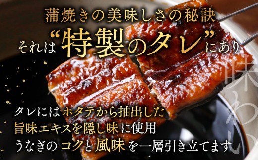 （6月発送）国産　大　特上うなぎ 2尾 合計320g以上【OT000O160】