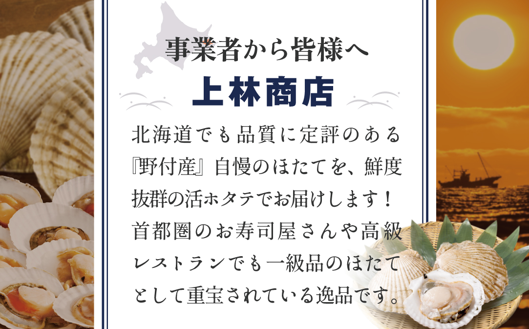【先行予約】ジャンボ活ほたて 4kg相当 7〜12枚入り＜朝どり新鮮出荷!＞( ふるさと納税 ほたて 大玉 生食 活きほたて 生ホタテ 生帆立 生ホタテ貝柱 帆立貝柱 天然 冷蔵 刺身用 生 )