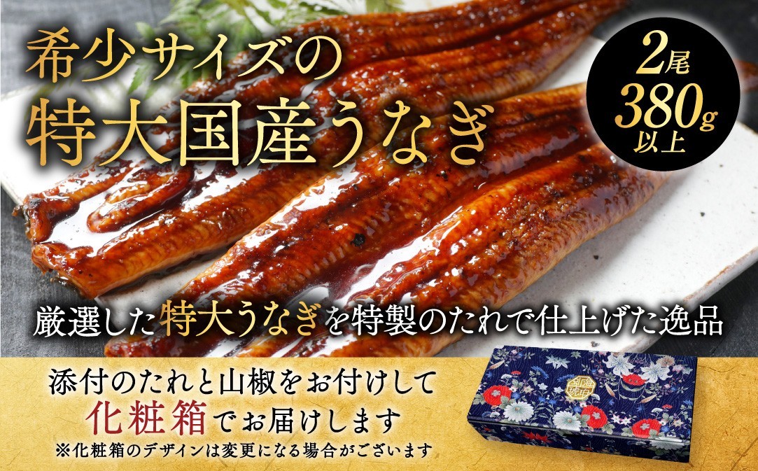 （6月発送）国産　特大　特上うなぎ 2尾 合計 380g 以上【OT000O190】
