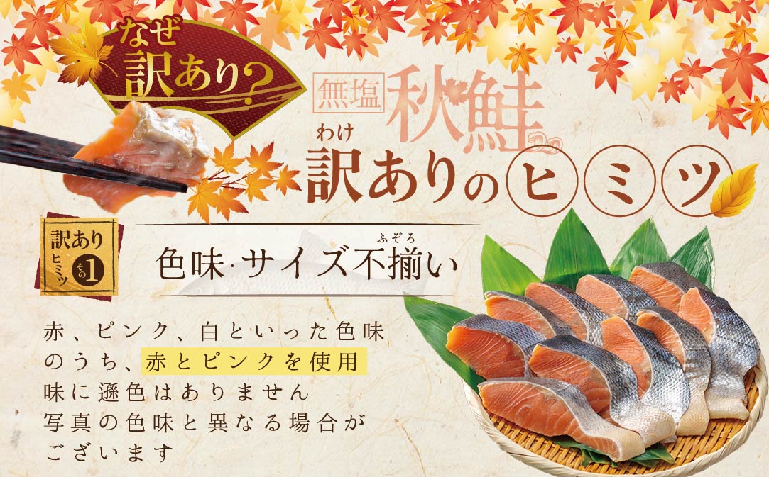 【禁輸に負けない！】【訳あり】「秋鮭の切り身（無塩）」1.4kg【BT000MD04】
