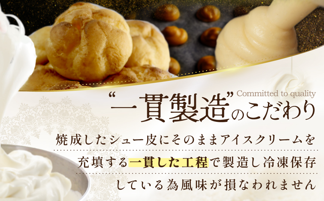 北海道 別海町 【12か月定期便】 BETSUKAI 濃厚 シューアイス 10個 セット【NSM120001】