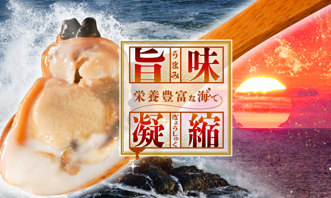 北海道野付産 あさり ボイルむき身 640g(160g×4) 貝付き3〜4kg 相当【NK0000RO0】