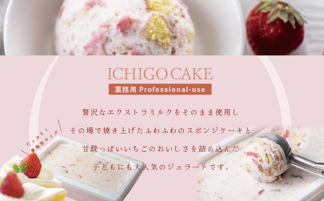 【毎月定期便】【THE ICE】業務用１リットル いちごケーキ ×6ヵ月定期便 【be003-1076-100-6】