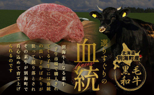 【定期便】黒毛和牛 「 別海和牛 」 焼肉用 600g × 8ヵ月【全8回】 ( 国産 和牛 牛肉 )