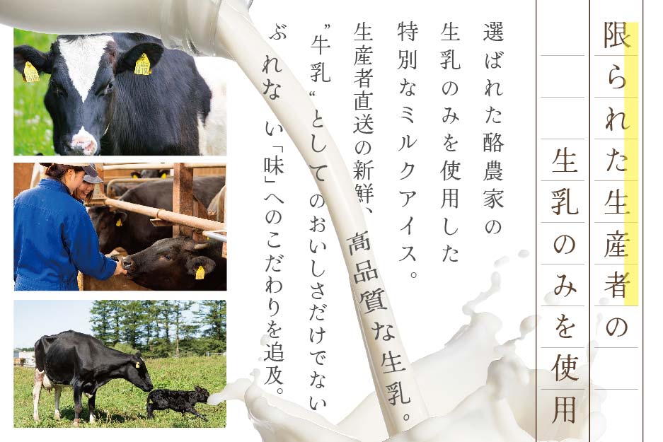 【THE ICE】ヨーグルト ジェラート 6個セット CJ0000216