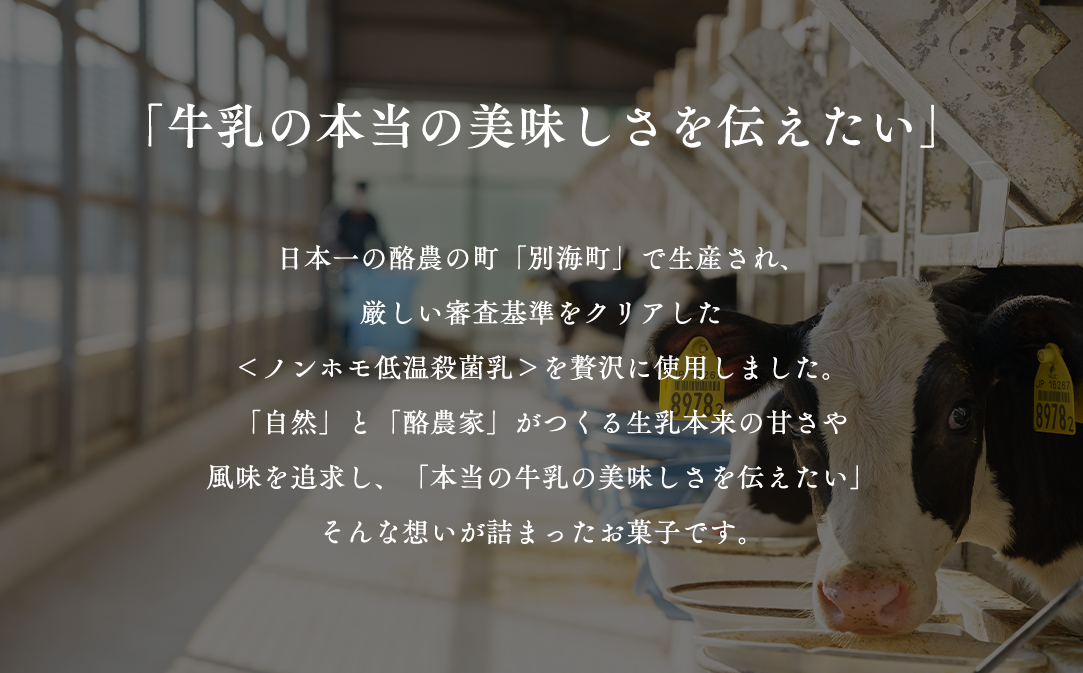 【隔月定期便】濃厚プリン　New Pudding（ニュープディング）（500g×1本）×6回【be152-0931-200-6】