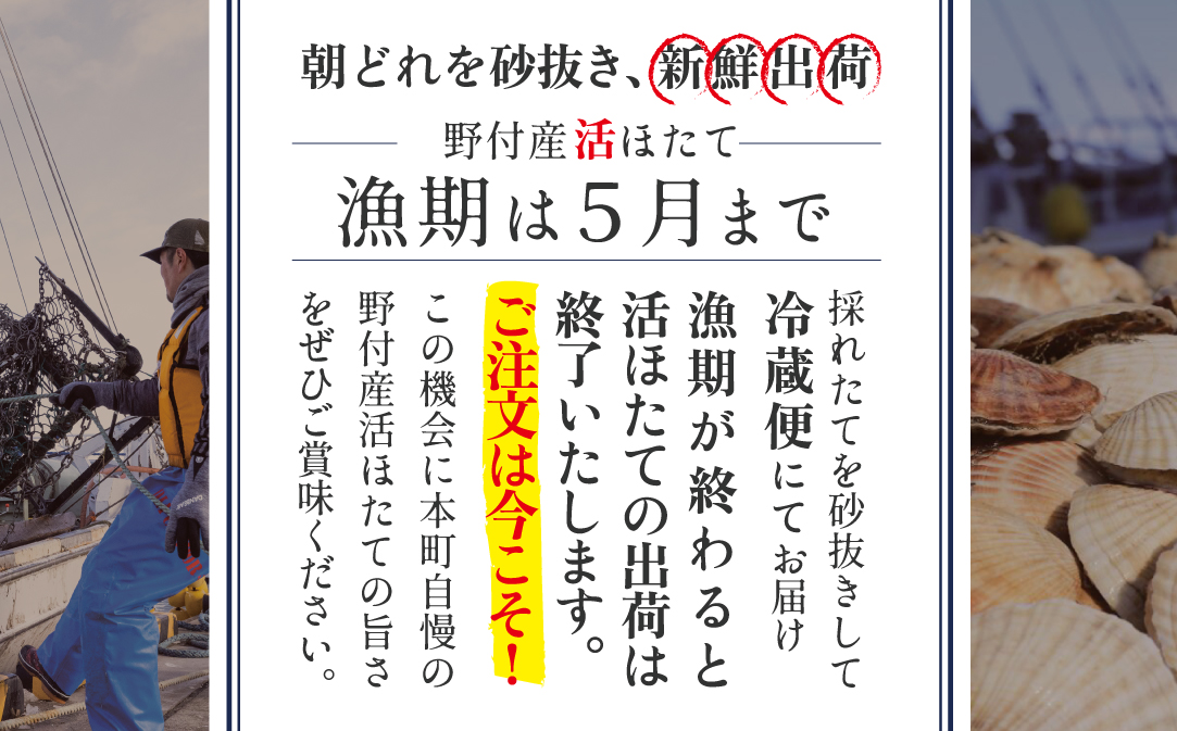 北海道野付産活ホタテ 3kg（10枚前後）【KO0000001】