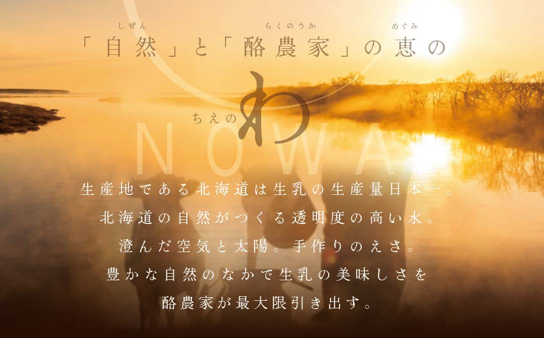 【毎月定期便】【THE ICE】3種詰合せ6個セット×12ヵ月定期便 【be003-1072-100-12】