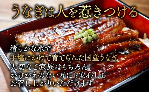 （6月発送）国産　特大　特上うなぎ 2尾 合計 380g 以上【OT000O190】