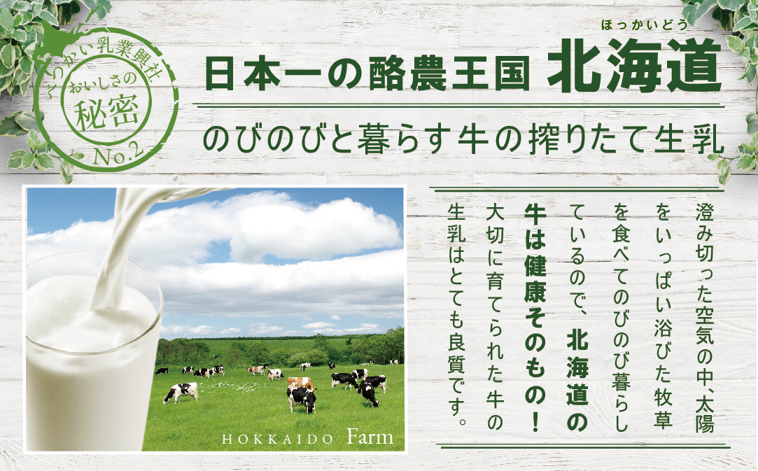 べつかいの コーヒー 屋さん 三角 パック（180ml×15個）