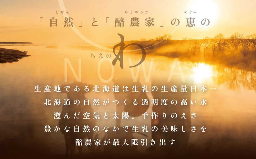 【毎月定期便】【THE ICE】3種詰合せ6個セット×2ヵ月定期便 【be003-1072-100-2】