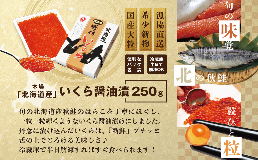 【250g×1パック 12回 お届け】 12ヵ月 定期便 漁協 直送！本場「北海道」 いくら 醤油漬け【NKM12NQ13】( いくら イクラ いくら鮭 イクラ鮭 いくら醤油漬け イクラ醤油漬け 国産 道産 )