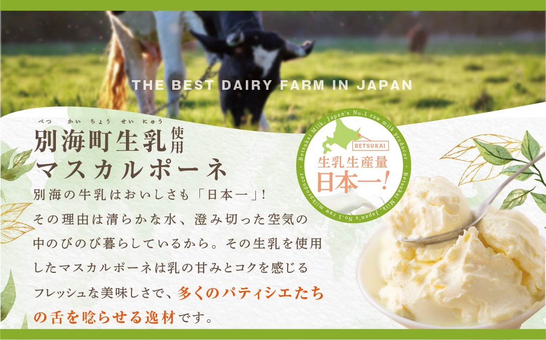 【定期便】 別海町産マスカルポーネチーズ使用　デリス プリン[120g×4本] × 12ヵ月【全12回】