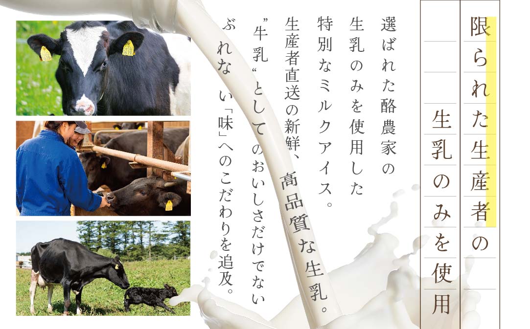 【毎月3回定期便】【THE ICE】5種食べ比べ 12個セット【CJM030207】