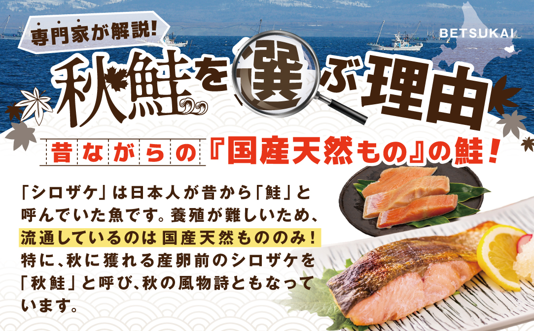 【訳あり】秋鮭ドンっ！無塩 秋鮭 切り身 1.5kg 【KN000PB06】