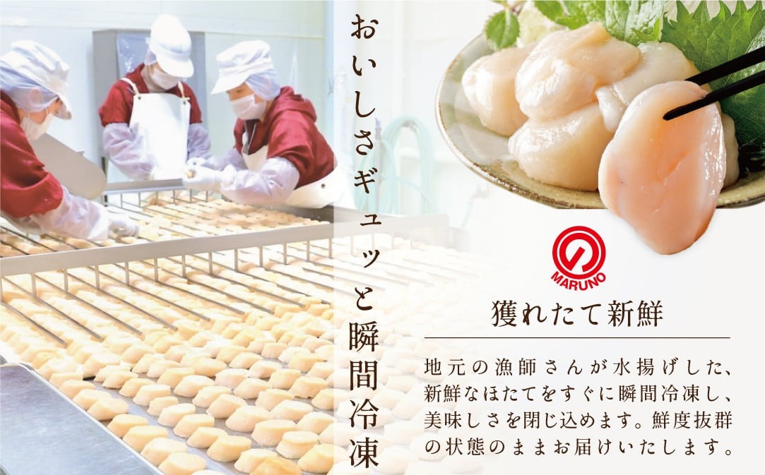 【毎月2ヶ月定期便】ホタテ の中の ほたて 野付の 帆立 を知り尽くす 野付漁協自ら加工だから 旨さ 訳あり ホタテ 送料無料 ｢野付産 冷凍 ホタテ 500g ジャンボ ｣  ( ホタテ ほたて 帆立 ほたて貝柱 ホタテ貝柱 帆立貝柱 貝柱 国産 玉冷 )【NK000NJT0】