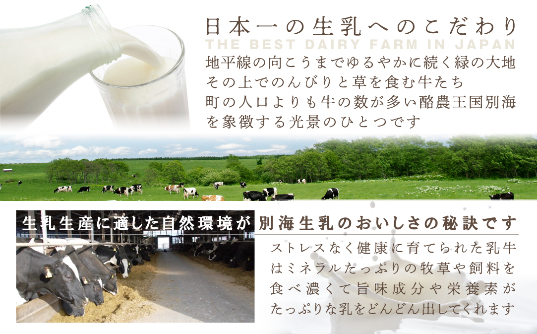 絶品なめらか濃厚♪生キャラメルプリン 6個入 北海道 別海町 スイーツ ぷりん 生キャラメル 北海道スイーツ お取り寄せ ギフト 贈答 贈り物