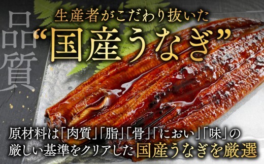 （6月発送）国産　特上うなぎ 2尾 合計 260g 以上【OT000O130】