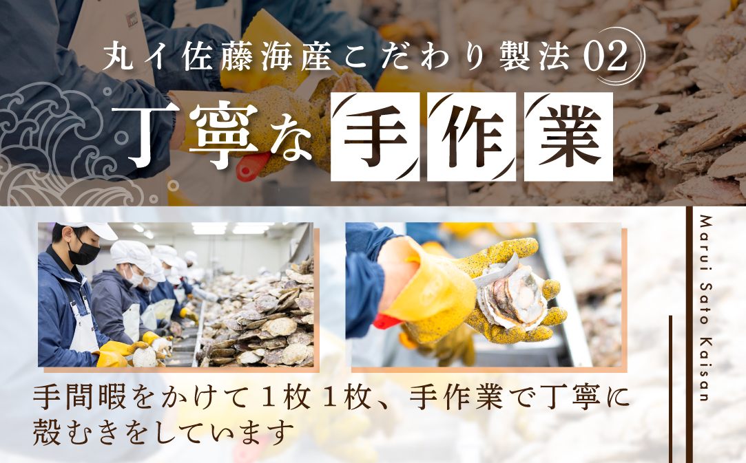 【訳あり】北海道 ホタテ 500g  (  ほたて ホタテ ホタテ貝柱 帆立貝 帆立貝柱 北海道 別海町 ふるさと納税 ）																								