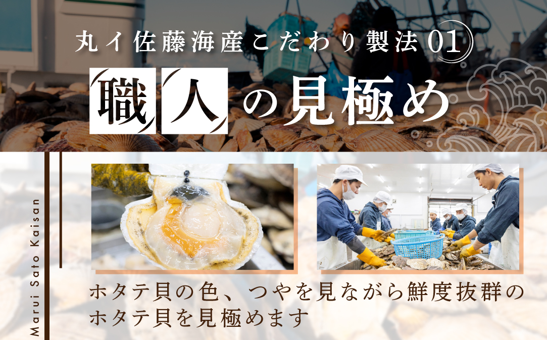 【訳あり】北海道 ホタテ 500g  (  ほたて ホタテ ホタテ貝柱 帆立貝 帆立貝柱 北海道 別海町 ふるさと納税 ）																								