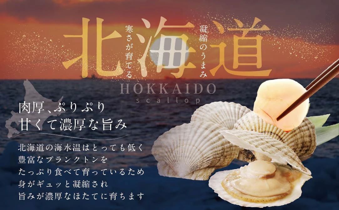 訳あり 北海道産 冷凍 ホタテ 400g【MT000TX00】（ ほたて ホタテ ホタテ貝柱 帆立貝 帆立貝柱 北海道 別海町 ふるさと納税 ）													