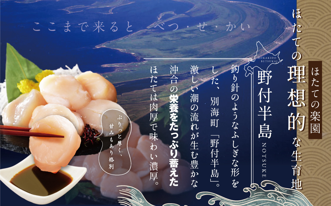 【隔月5ヶ月定期便】ホタテ の中の ほたて 野付の 帆立 を知り尽くす 野付漁協自ら加工だから 旨さ 訳あり ホタテ 送料無料 ｢野付産 冷凍 ホタテ 500g 特大 ｣  ( ホタテ ほたて 帆立 ほたて貝柱 ホタテ貝柱 帆立貝柱 貝柱 国産 玉冷 )