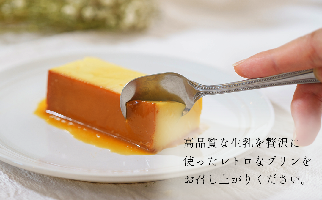 【定期便】濃厚プリン　New Pudding（ニュープディング）（500g×1本）×3ヶ月【be152-0931-100-3】