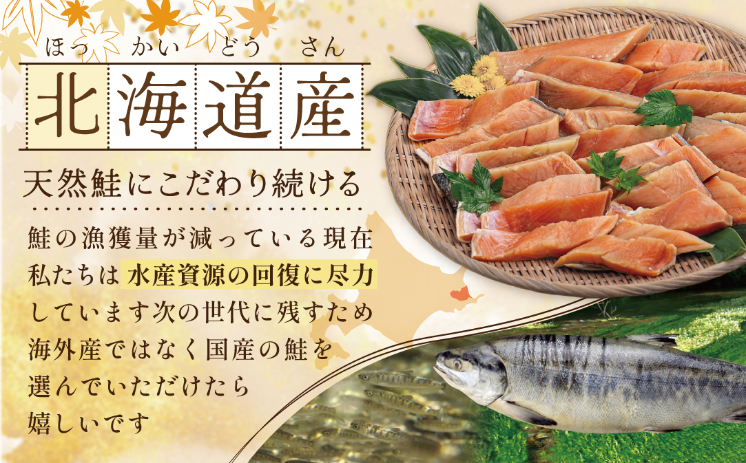 【訳あり】秋鮭ドンっ！無塩 秋鮭 切り身 1.5kg 【KN000PB06】