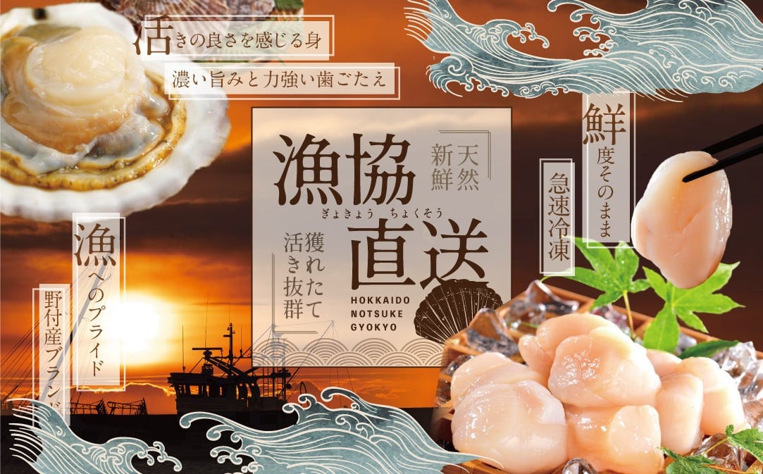 【隔月2ヶ月定期便】ホタテ の中の ほたて 野付の 帆立 を知り尽くす 野付漁協自ら加工だから 旨さ 訳あり ホタテ 送料無料 ｢野付産 冷凍 ホタテ 500g 特大 ｣  ( ホタテ ほたて 帆立 ほたて貝柱 ホタテ貝柱 帆立貝柱 貝柱 国産 玉冷 )