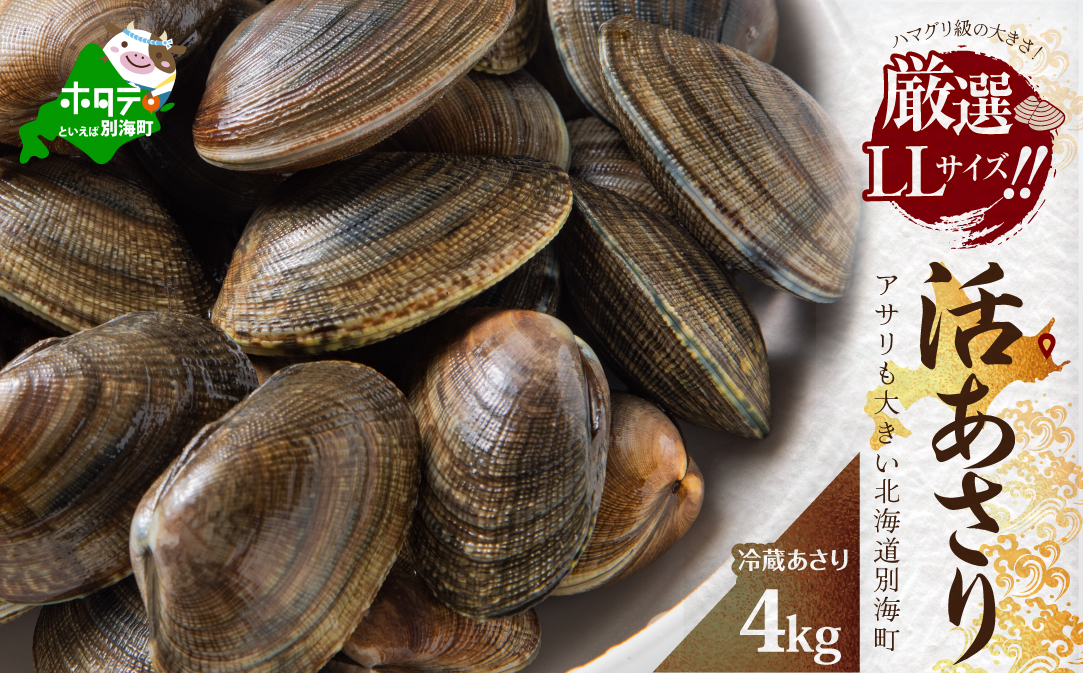 北海道 野付産 大粒 天然 活あさり 4kg前後【UY0000005】（株式会社 海好）（北海道 別海町 あさり アサリ 貝 大粒 ふるさと納税）